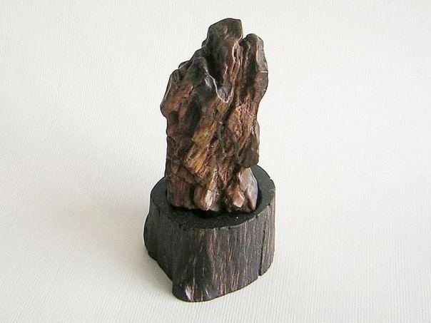 Petrified wooden rock – (1620)